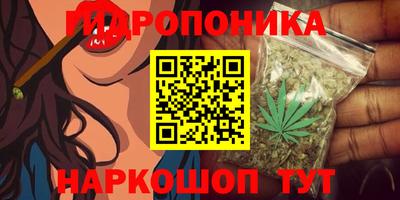 jwh Краснодар