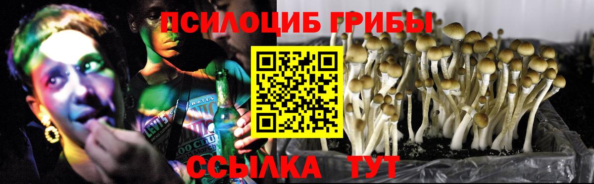 Псилоцибиновые грибы ЛСД Донецк